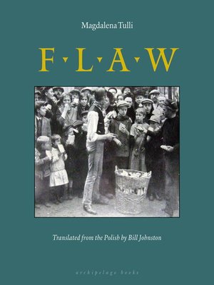 cover image of Flaw